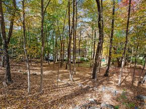341 Millwood Road, Chappaqua NY 10514