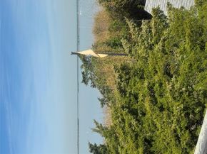 7 Compass walk, Ocean Beach NY 11770