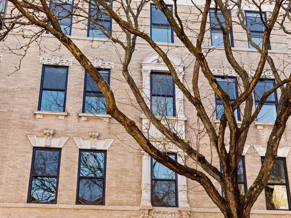 744 Park Place 4B, Brooklyn NY 11216