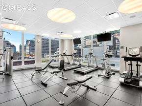 388 Bridge Street PH45AB, Brooklyn NY 11201