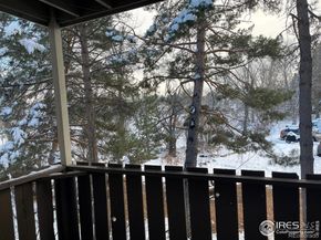 8060 Niwot Road 66, Niwot CO 80503