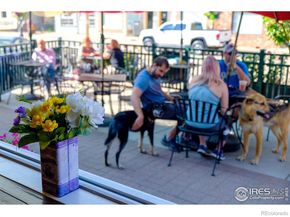 8060 Niwot Road 66, Niwot CO 80503