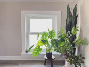 2565 Pierce Street, Lakewood CO 80214