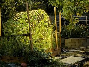 865 Sparta Drive, Lafayette CO 80026