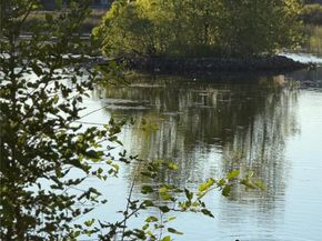 Undisclosed Address #1606779, Louisville CO 80027