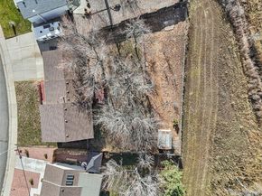 3743 S Nelson Way, Denver CO 80235