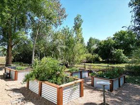 6957 Peppertree Drive, Niwot CO 80503
