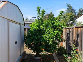 219 Verbena Drive, East Palo Alto CA 94303