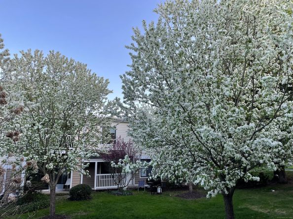 2 Quincy Close, Ridgefield CT 06877