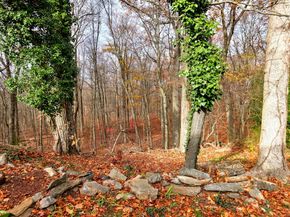 715 Frenchtown Road 31, Bridgeport CT 06606