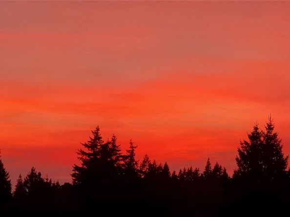 7407 180th Street SW, Edmonds WA 98026