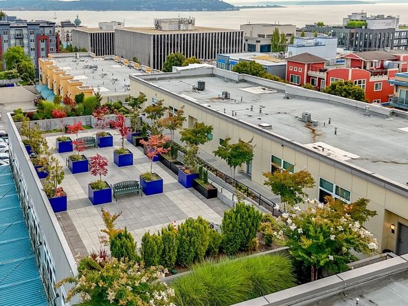 17 W Mercer Street 301, Seattle WA 98119