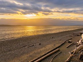 10835 Arroyo Beach Place SW, Seattle WA 98146