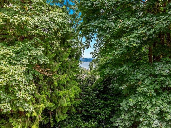 17002 SE 43rd Street, Bellevue WA 98006