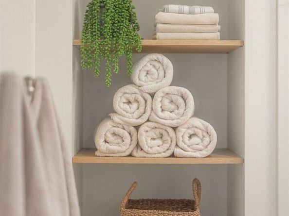 7315 51st Avenue NE, Seattle WA 98115