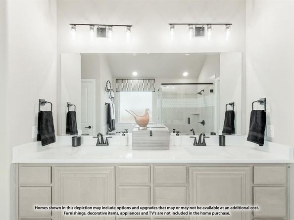 119  Whistling Duck Drive , Balch Springs Texas 75181