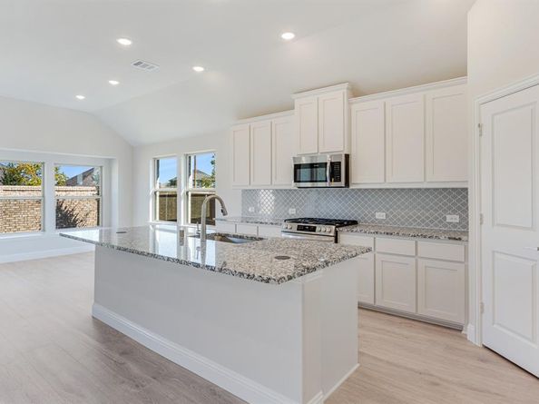 119  Whistling Duck Drive , Balch Springs Texas 75181