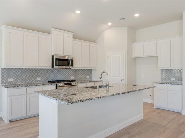 119  Whistling Duck Drive , Balch Springs Texas 75181