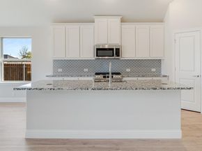 119  Whistling Duck Drive , Balch Springs Texas 75181