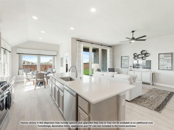 119  Whistling Duck Drive , Balch Springs Texas 75181