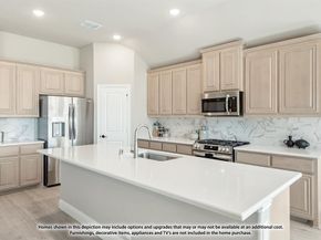 119  Whistling Duck Drive , Balch Springs Texas 75181