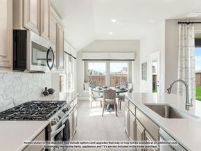 119  Whistling Duck Drive , Balch Springs Texas 75181