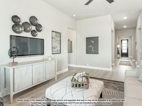 119  Whistling Duck Drive , Balch Springs Texas 75181