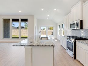 119  Whistling Duck Drive , Balch Springs Texas 75181