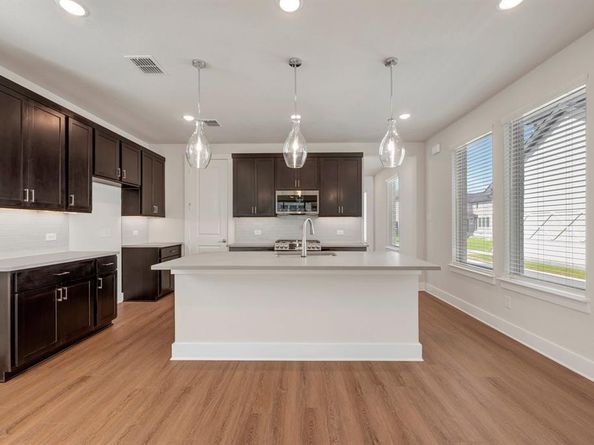 1113  Amaryllis Lane , Little Elm Texas 76227