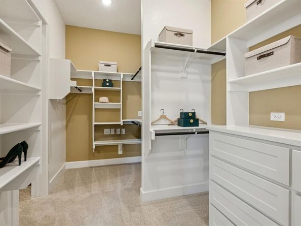 9203  Cardinal Flower Street , Frisco Texas 75035