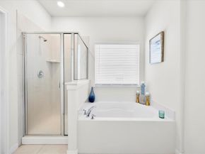 602  Royal Pine Drive , Fate Texas 75087