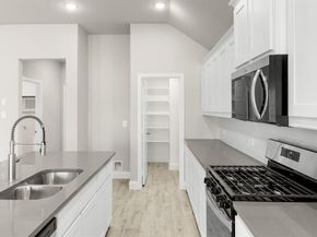 141  Whistling Duck  , Balch Springs Texas 75181