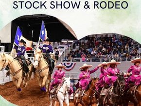 3209  Donnelly Circle  104, Fort Worth Texas 76107