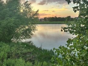 1208  Lady Mantle Way , Little Elm Texas 76227