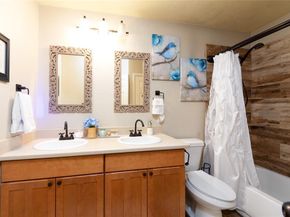 6004  Ten Wood Court , Arlington Texas 76018