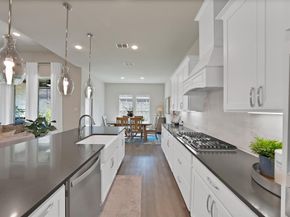 205  Northern Star Court , Little Elm Texas 75068