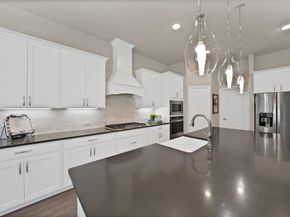 205  Northern Star Court , Little Elm Texas 75068