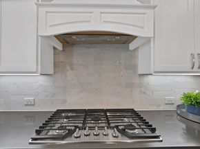 205  Northern Star Court , Little Elm Texas 75068