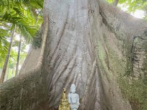 770 NE 69th St 6F, Miami FL 33138