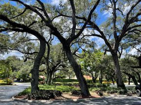 1831 Sabal Palm Dr 403, Davie FL 33324