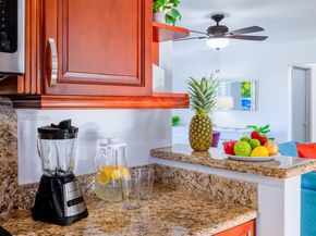 312 N Luna Ct, Hollywood FL 33021