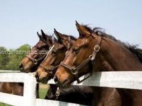 12570 SW 45th St, Miami FL 33175