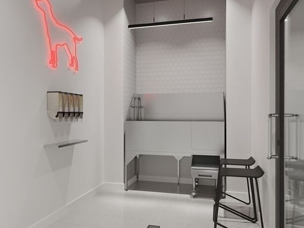 1395 Washington Street 505, Boston MA 02118