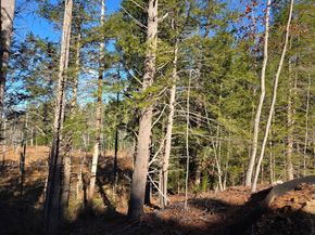 371 Hitchcock Road, Winchendon MA 01475