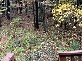 23 Thayer Pond Road 1, Oxford MA 01537