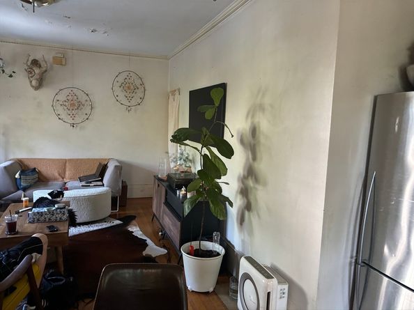 300 Faneuil St., Boston MA 02135