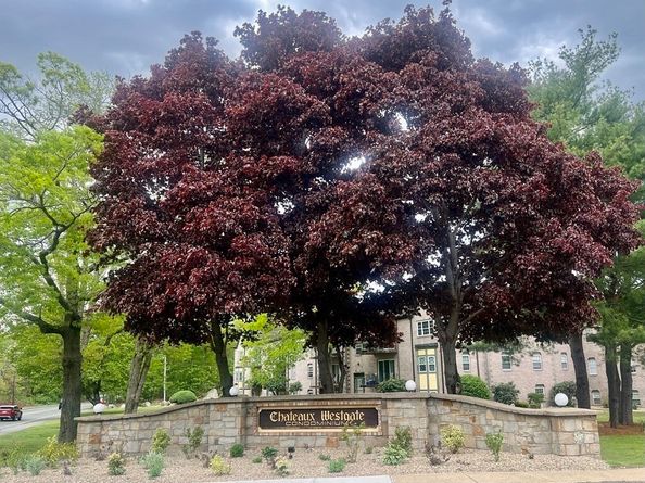 508 Oak Street 10, Brockton MA 02301