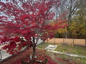 515 Fulton St, Medford MA 02155