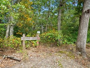 71 Webb Street, Lexington MA 02420