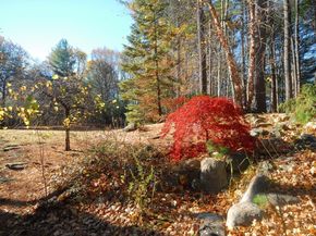 96 Forest Ridge Rd 96, Concord MA 01742